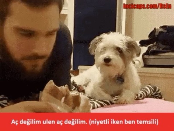 Aç değilim ulen aç...