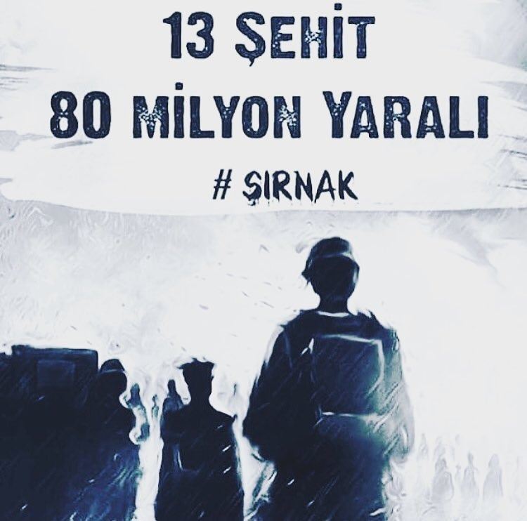 13 ŞEHİT
80 Milyon yaralı
ŞIRNAK