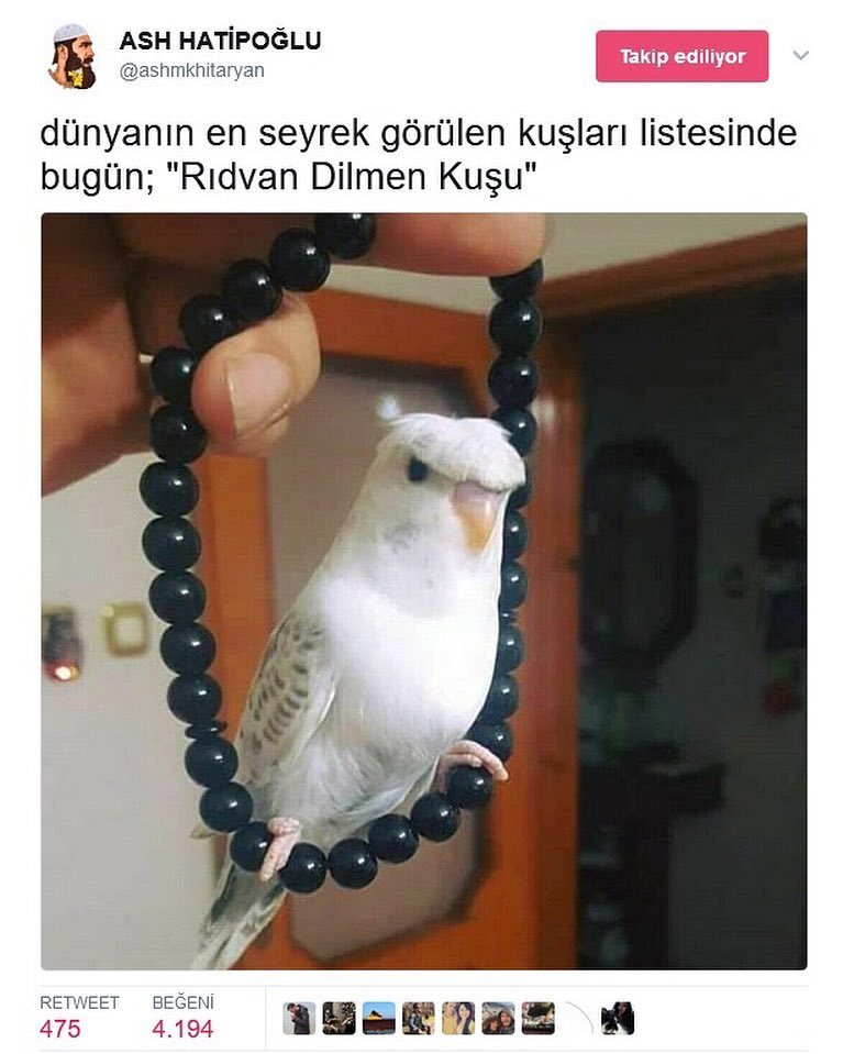Dünyanın en seyrek görülen...