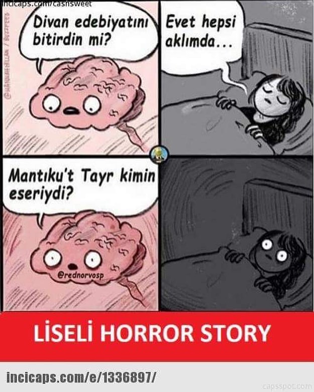 - Divan edebiyatını...