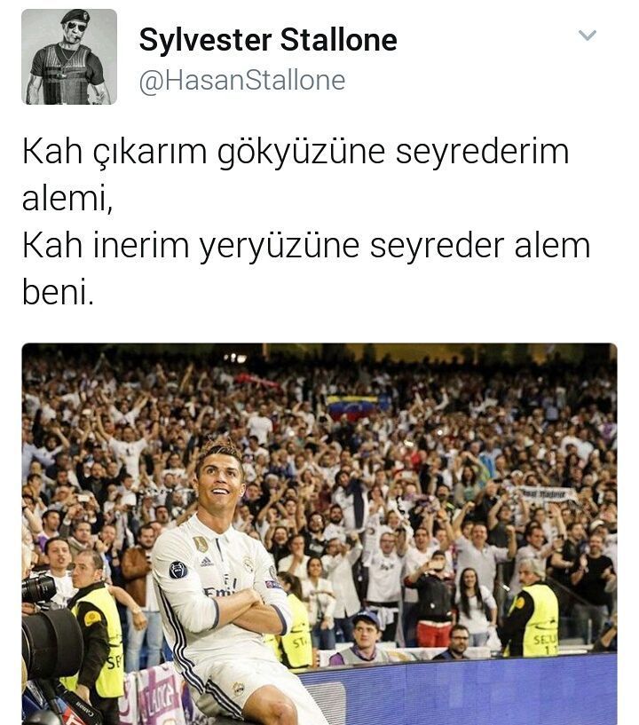 Sylvester...