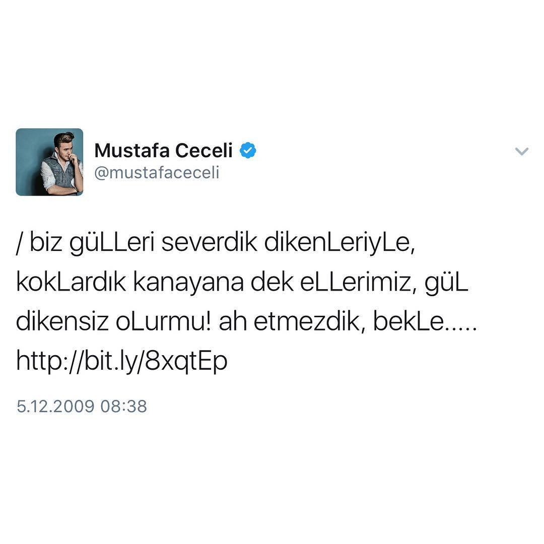 Mustafa...