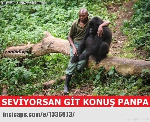 santari
SEVIYORSAN GIT...