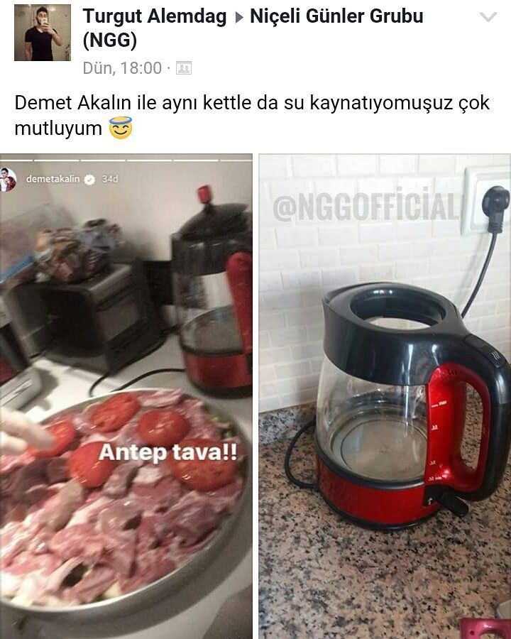 Turgut Alemdag Niçeli...