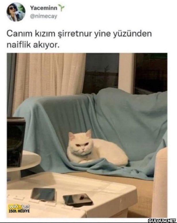 Canım kızım şirretnur yine...