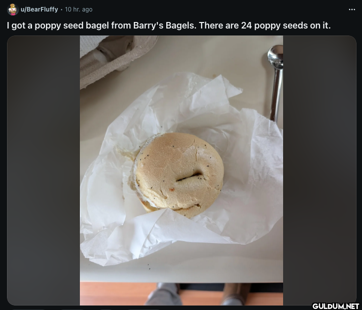 I got a poppy seed bagel...