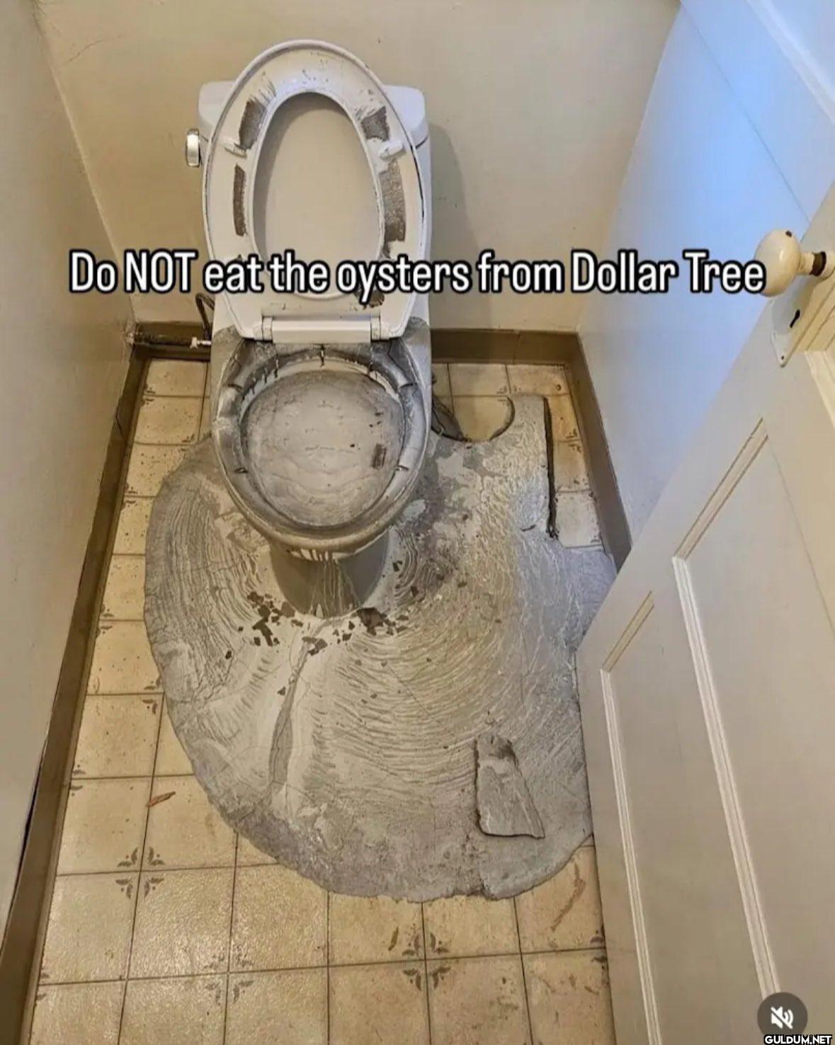 Do NOT eat the oysters...