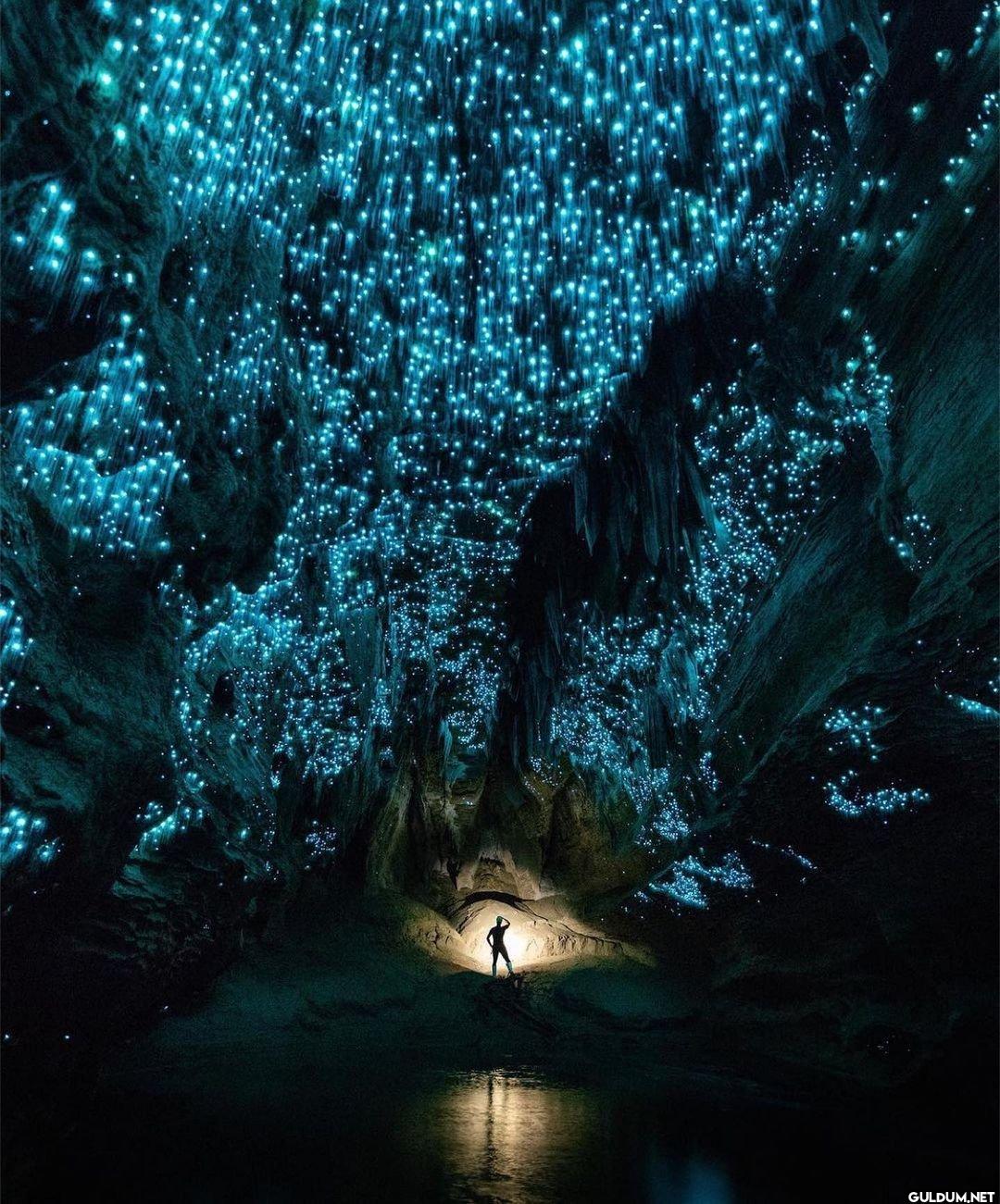 14. Glowworm Caves, New Zealand