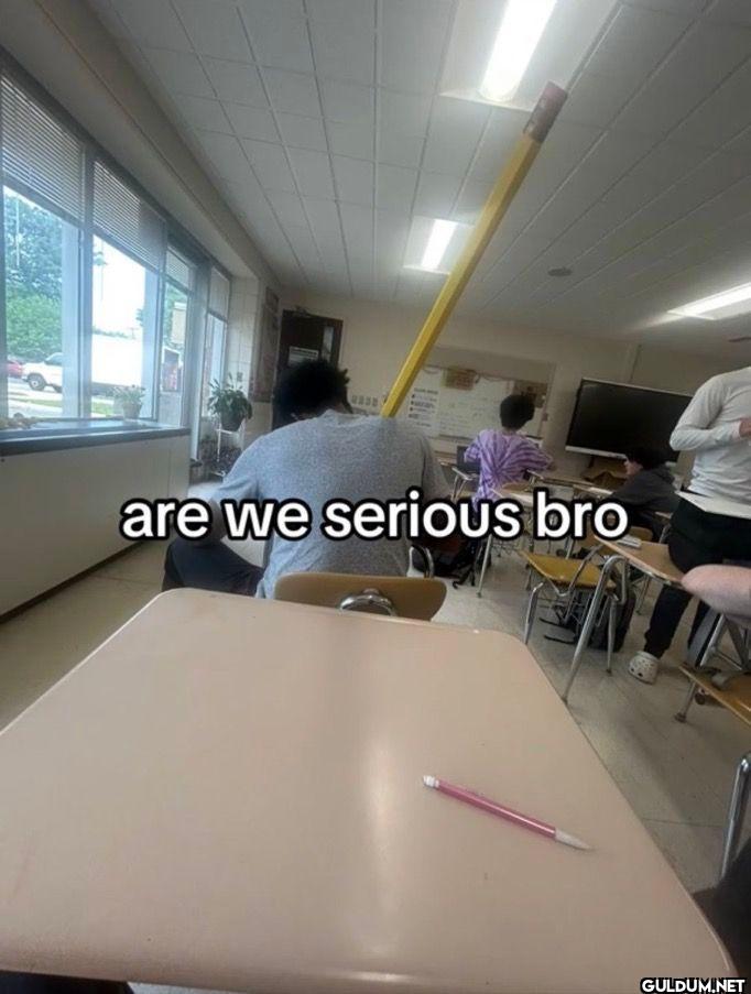 are we serious bro