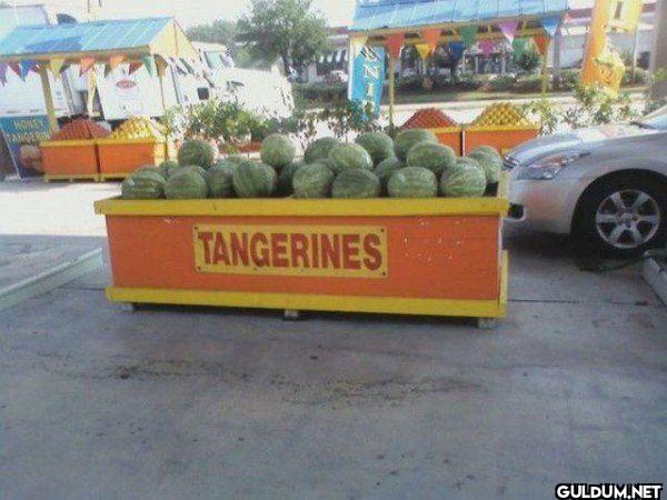 HONEY TANDERIN TANGERINES