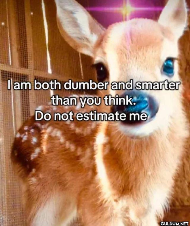 I am both dumber and...