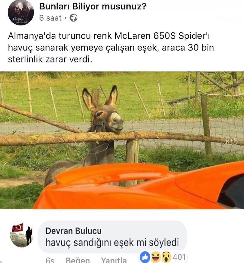 Almanya'da turuncu renk...