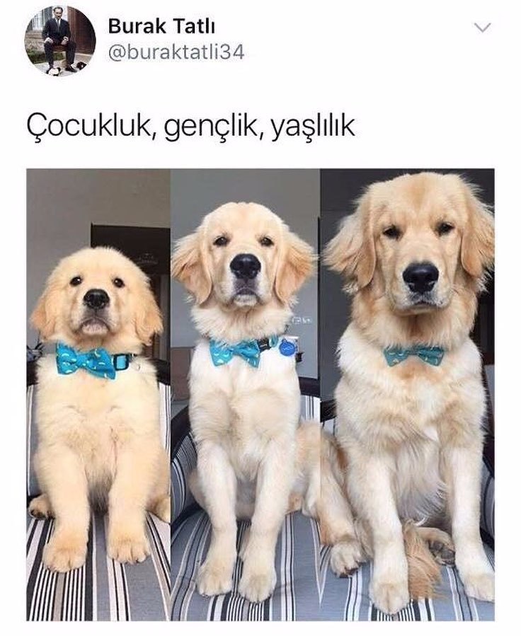 Burak...