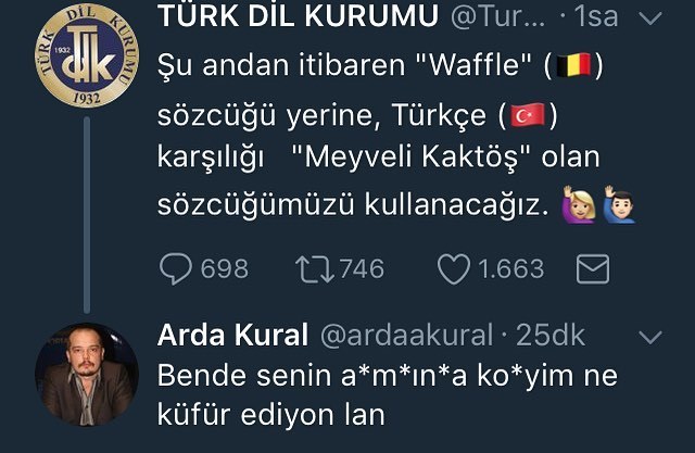 TURK DIL KURUMU...