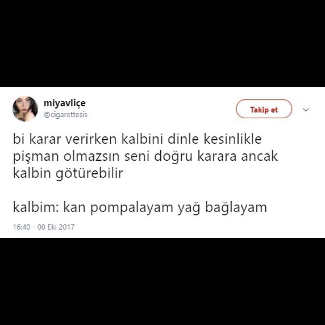 miyavliçe
@cigarettesis
Tak...