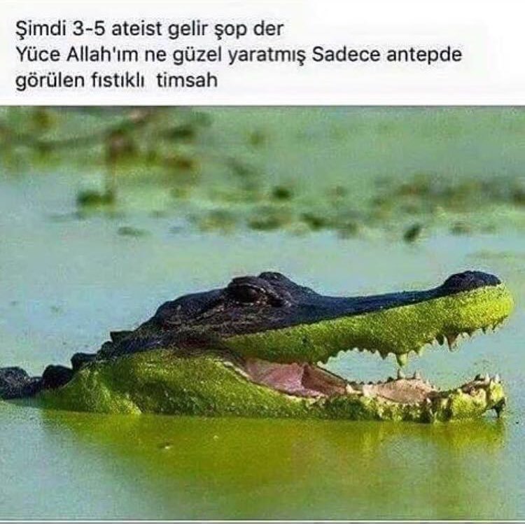 Şimdi 3-5 ateist gelir şop...