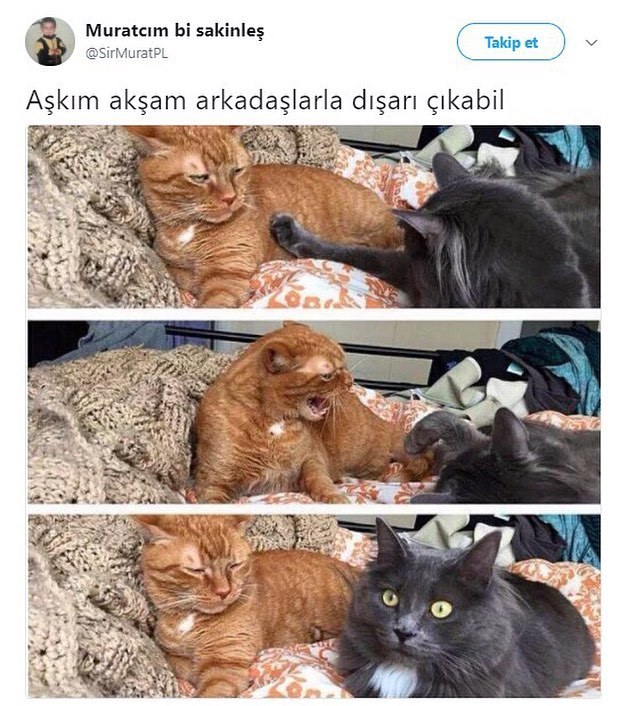 Muratcim bi...