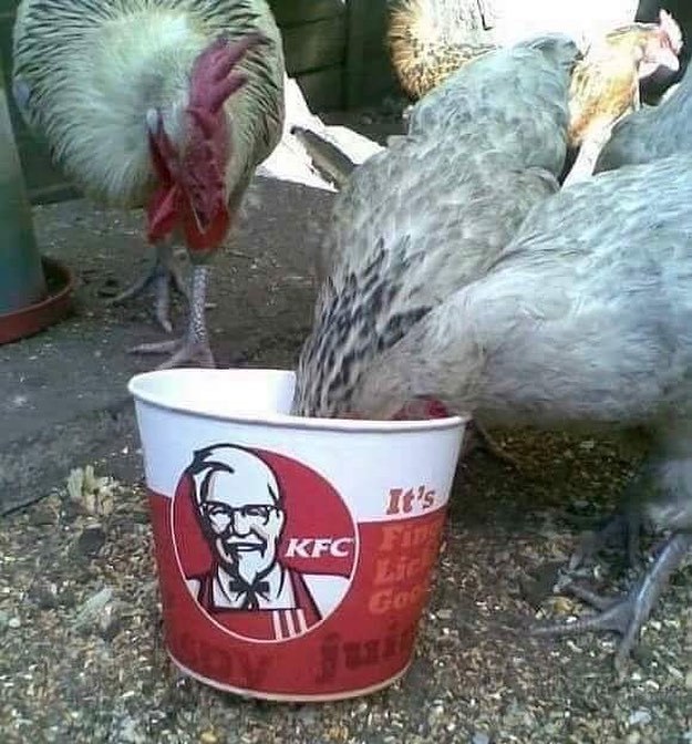 Its
KFC