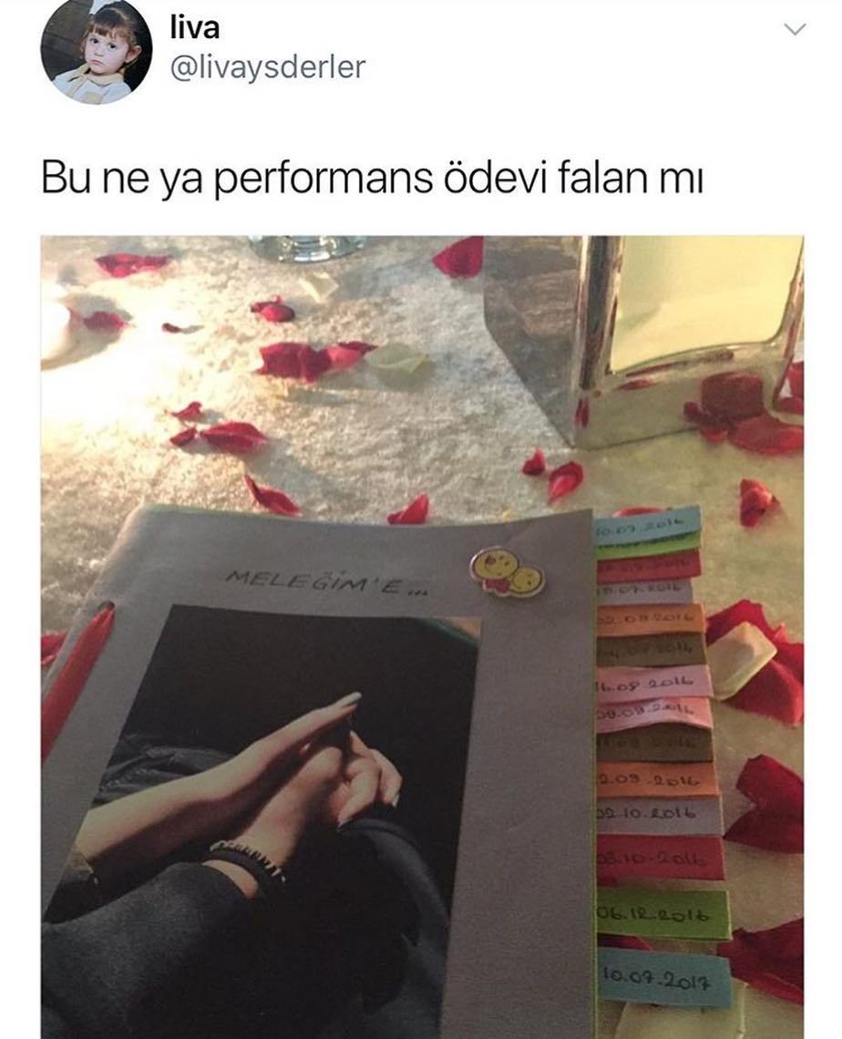 Bu ne ya performans ödevi falan mı?