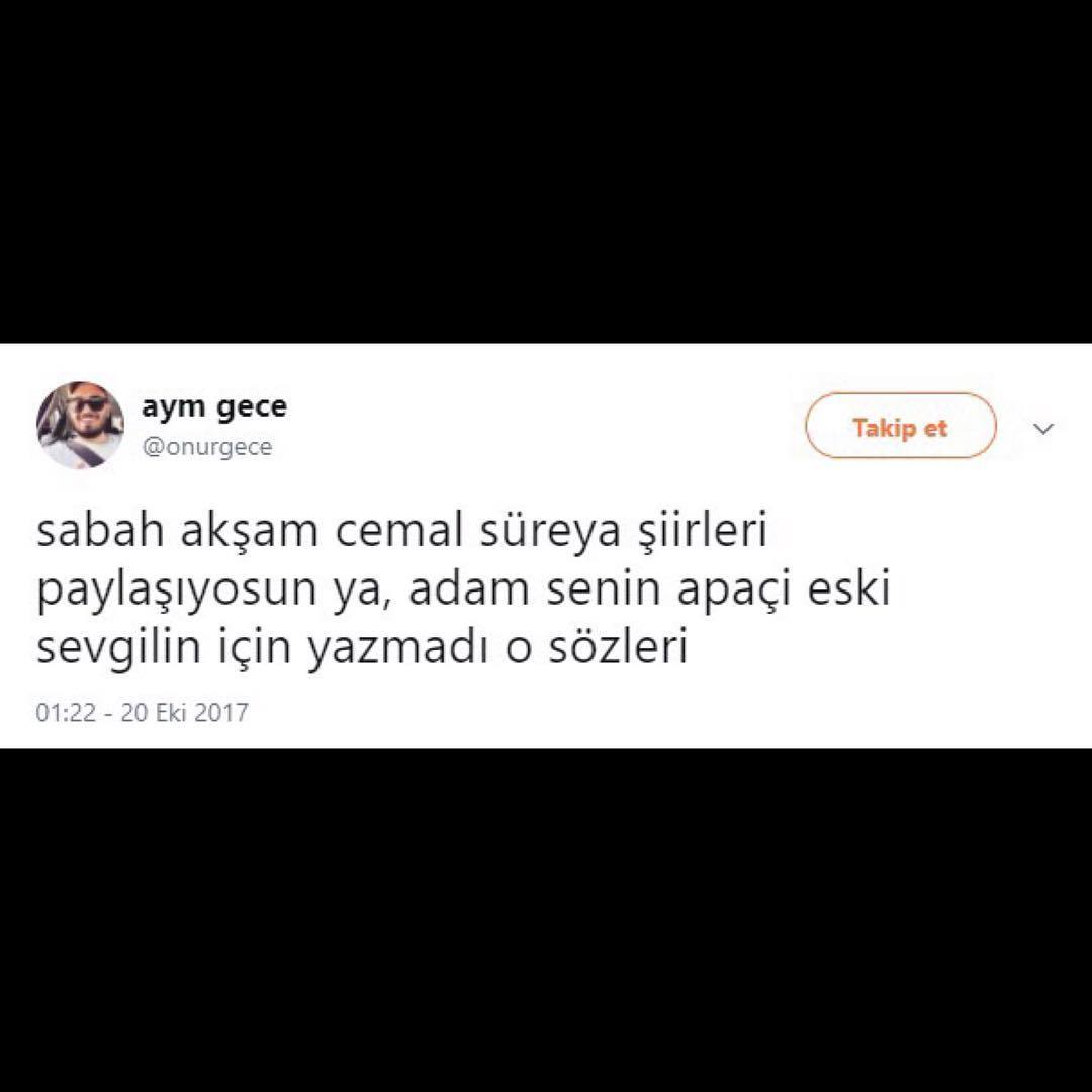 sabah akşam Cemal Süreyya...
