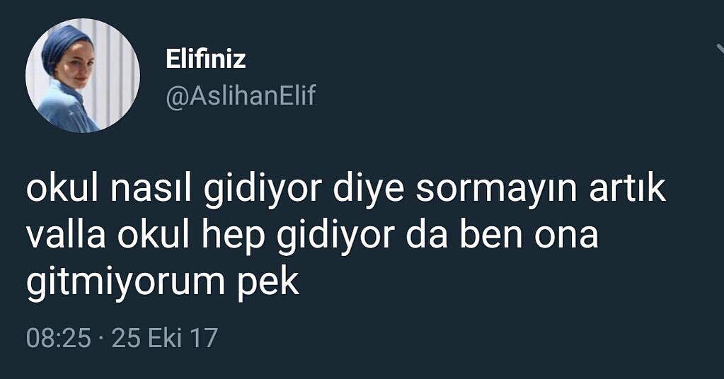 Okul nasıl gidiyor diye...