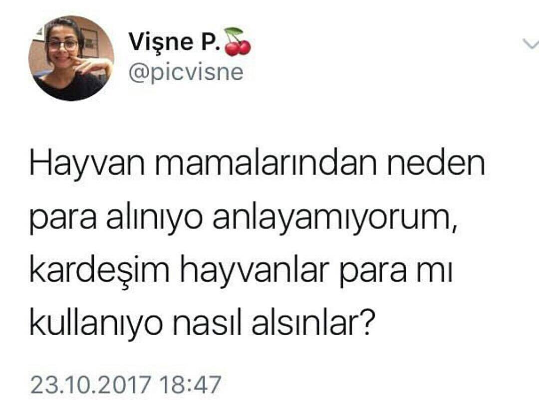 Hayvan mamalarından neden...