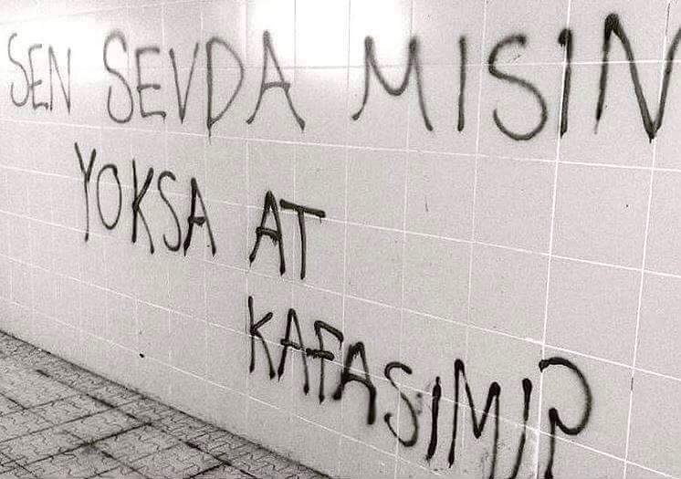 sen sevda mısın
yoksa
at kafası mı?