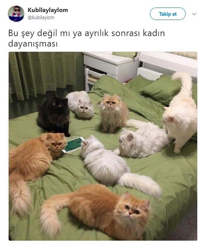 Bu şey değil mi ya ayrılık...