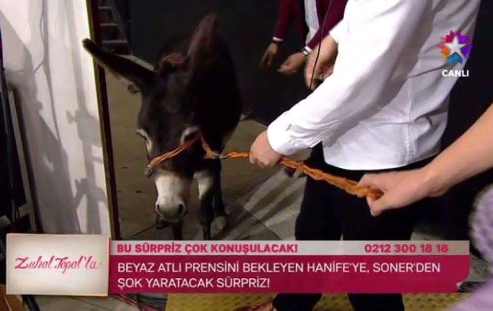 Beyaz atlı prensini...