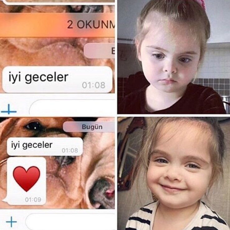 iyi geceler 01:08

iyi...