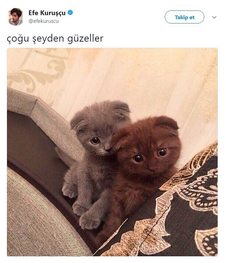 Efe...