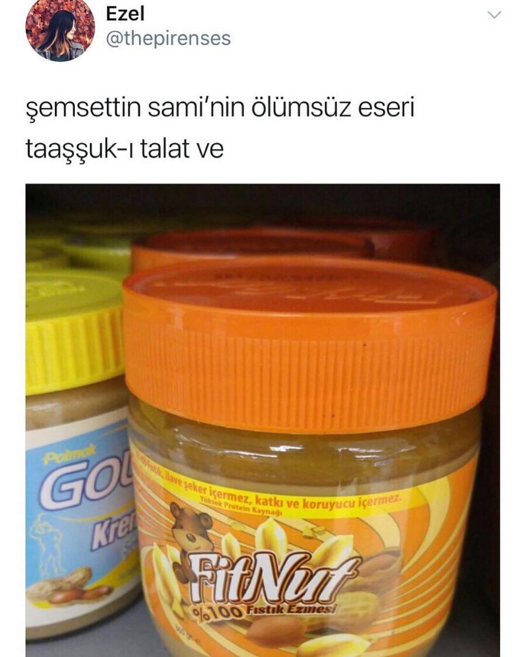 Şemsettin Sami'nin ölümsüz...