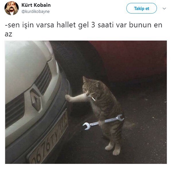 -sen işin varsa hallet...