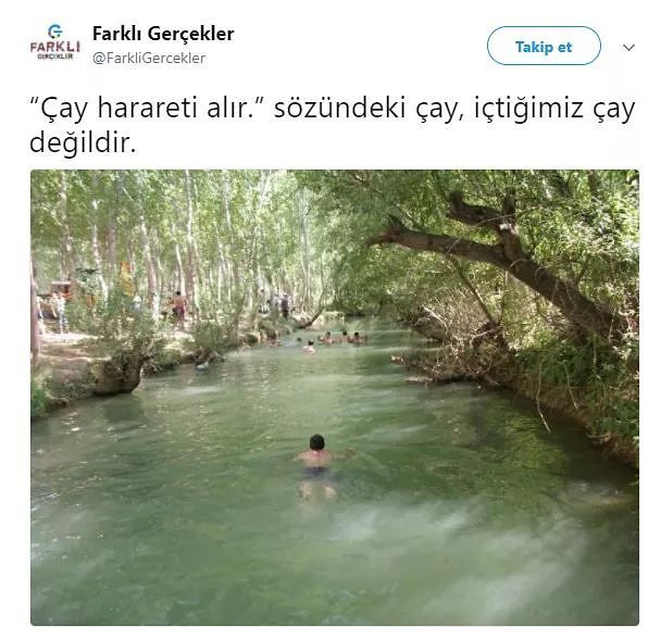 "Çay harareti alır"...