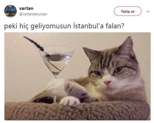 Peki hiç geliyo musun...