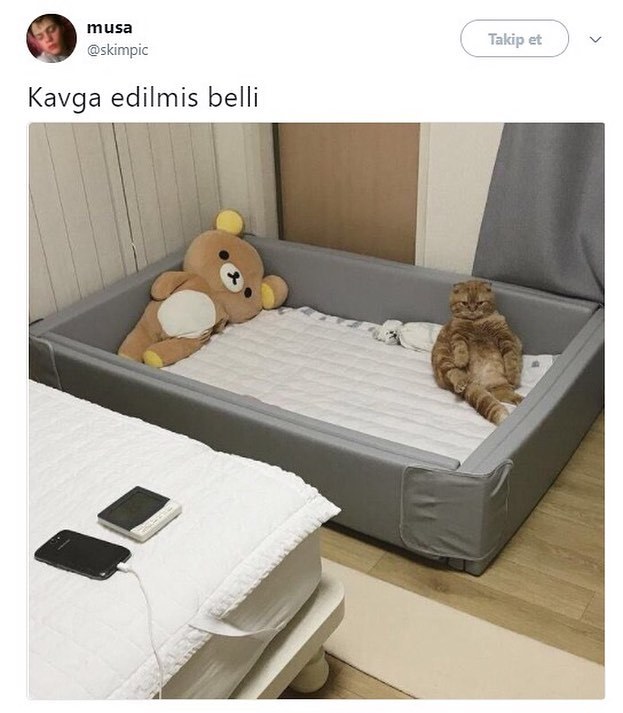 Kavga edilmiş belli