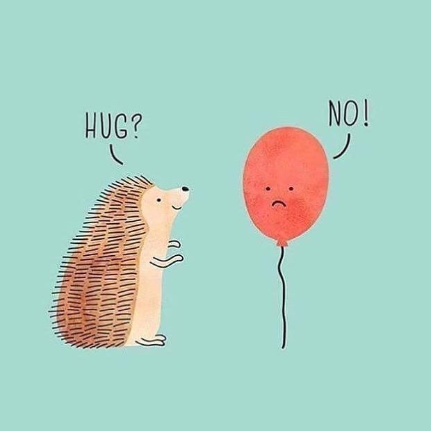 - HUG?
+ NO!
