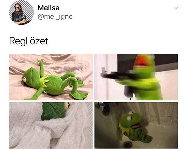 Melisa
@mel_ignc
Regl özet
