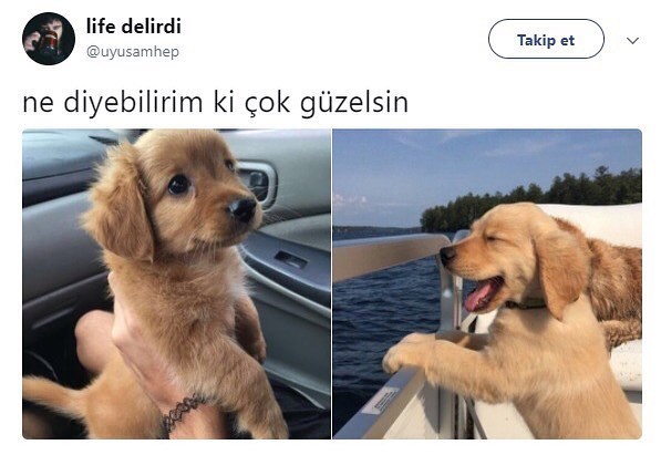 Ne diyebilirim ki çok güzelsin