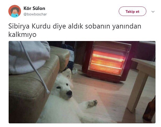 Kör...