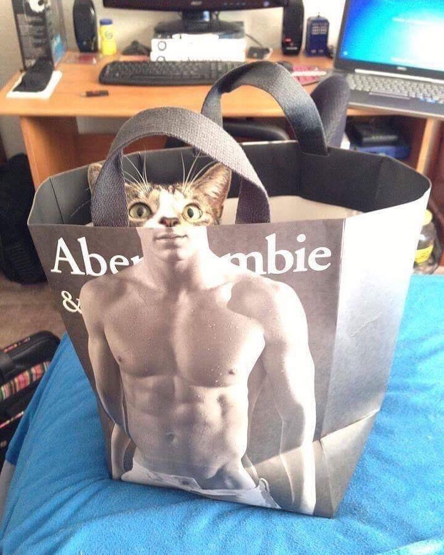 Abe
ie