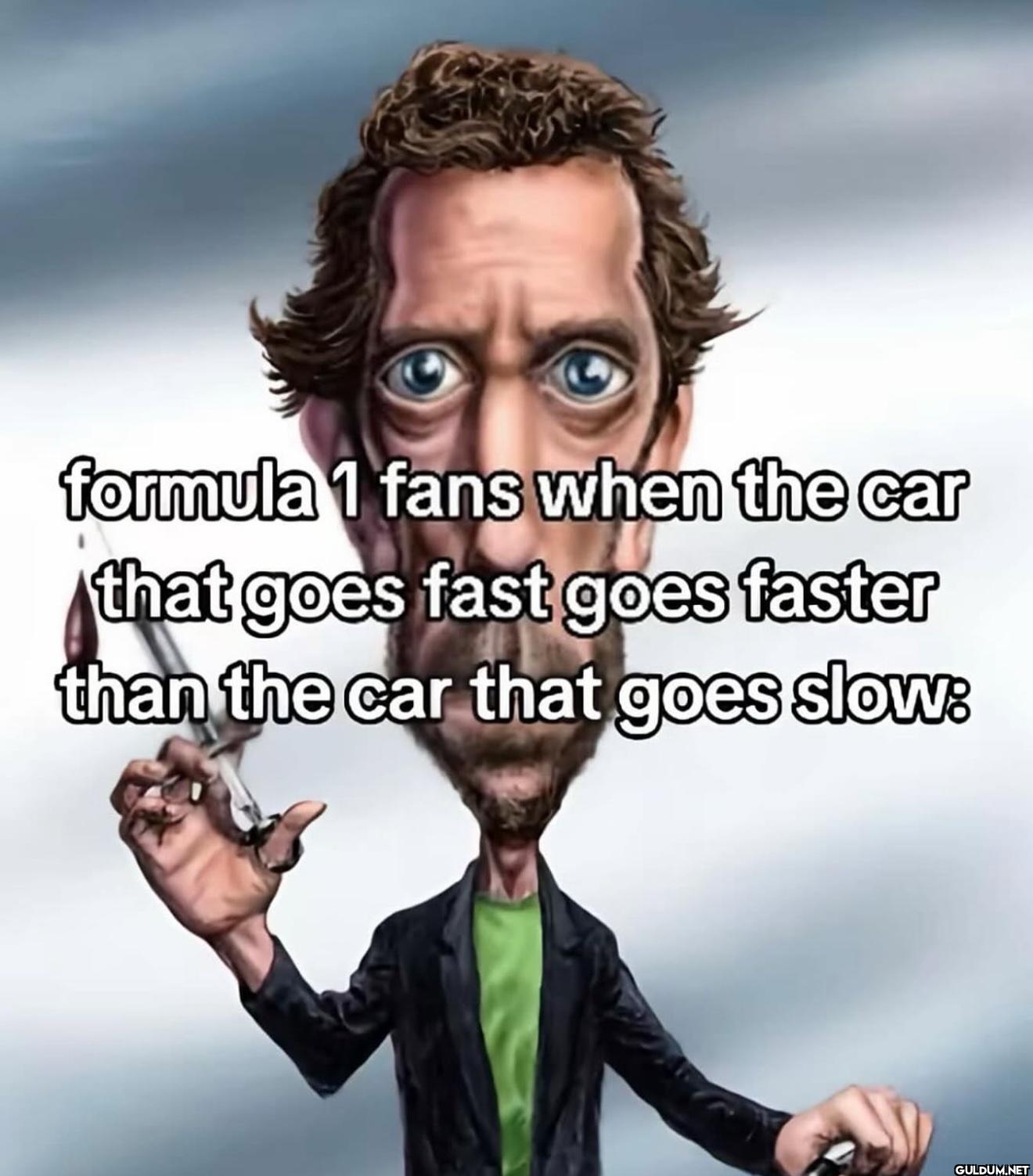 formula 1 fans when the...