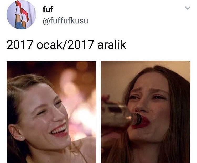 2017 Ocak - 2017 Aralık