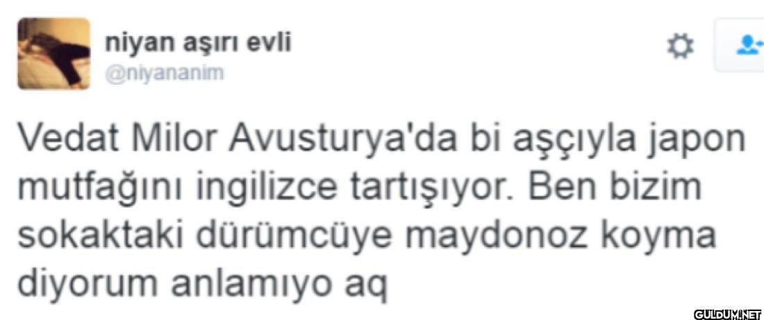 Vedat Milor Avusturya'da...