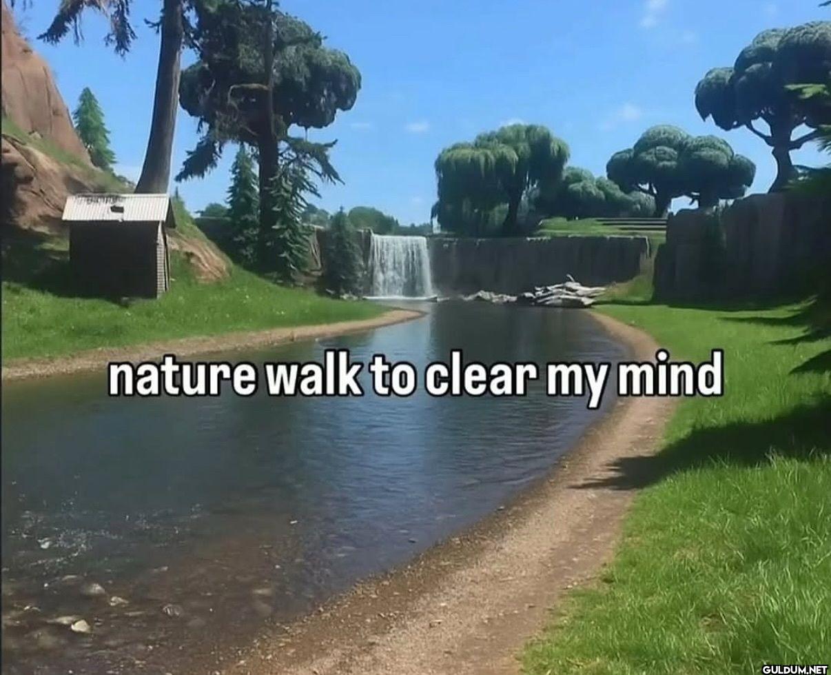 nature walk to clear my mind