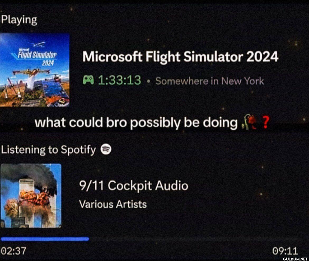 Playing Microsoft Flight...