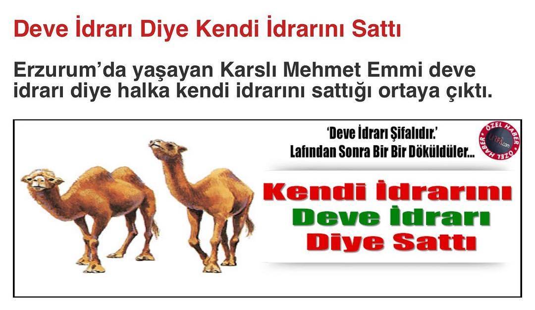Erzurumda yaşayan Karslı...