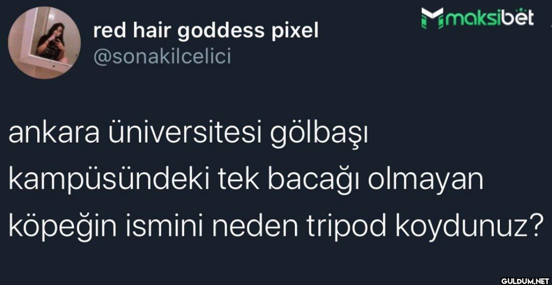 Ya djskdjdhdsjdhjdksksjdj ...