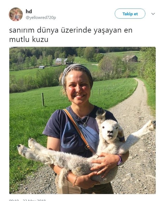 sanırım dünya üzerinde...
