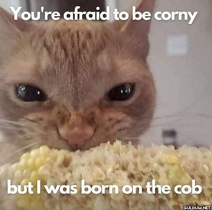 You're afraid to be corny...